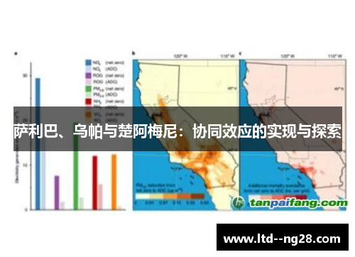萨利巴、乌帕与楚阿梅尼：协同效应的实现与探索