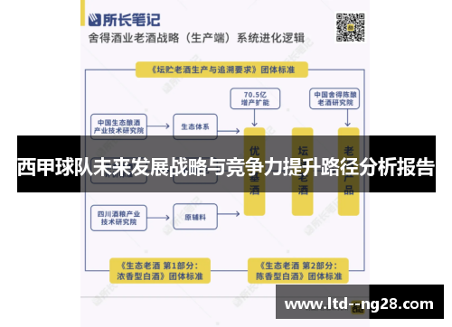 西甲球队未来发展战略与竞争力提升路径分析报告