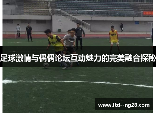 足球激情与偶偶论坛互动魅力的完美融合探秘